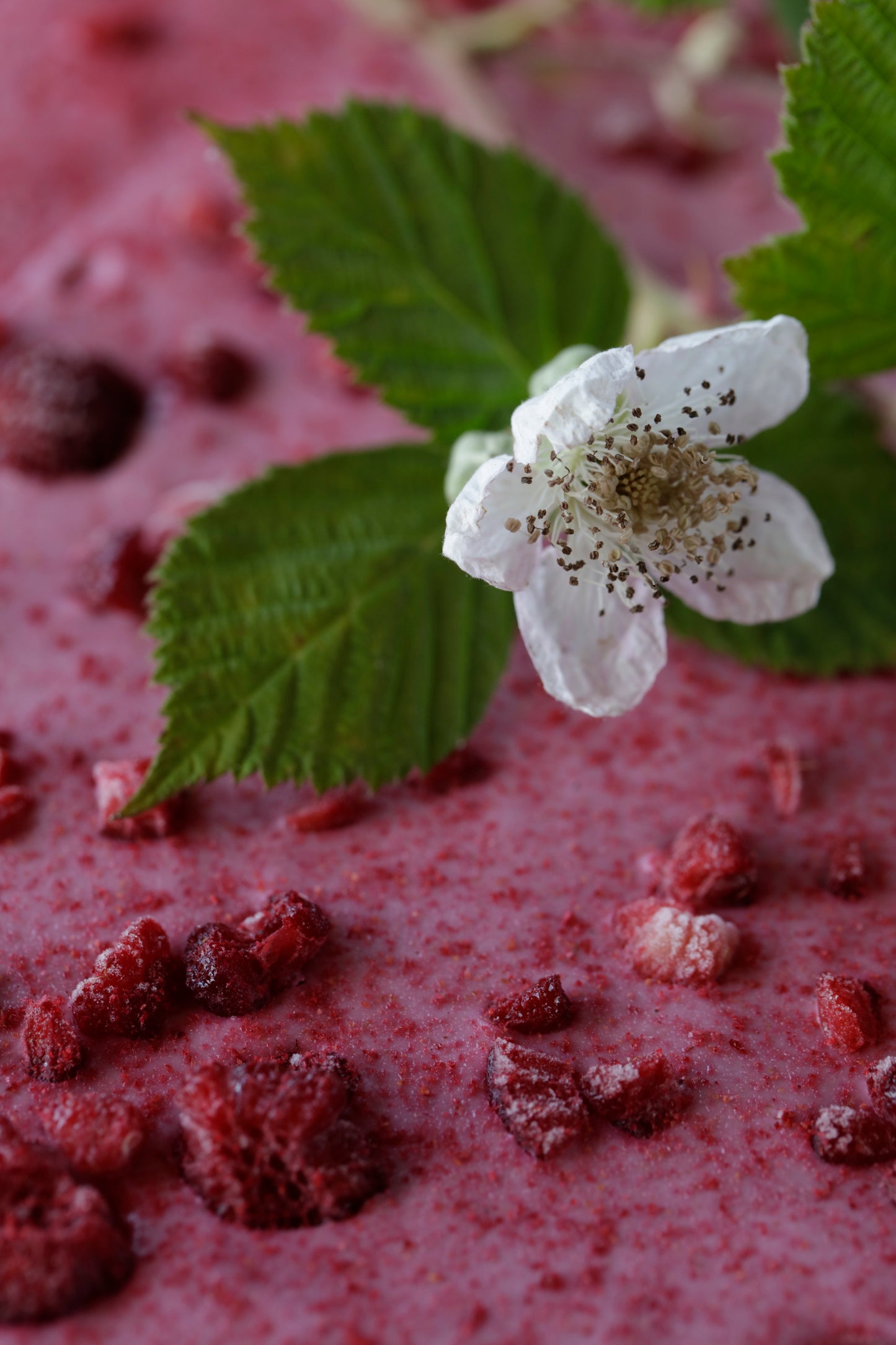 Raw Bringebærkake - Coco Kanel