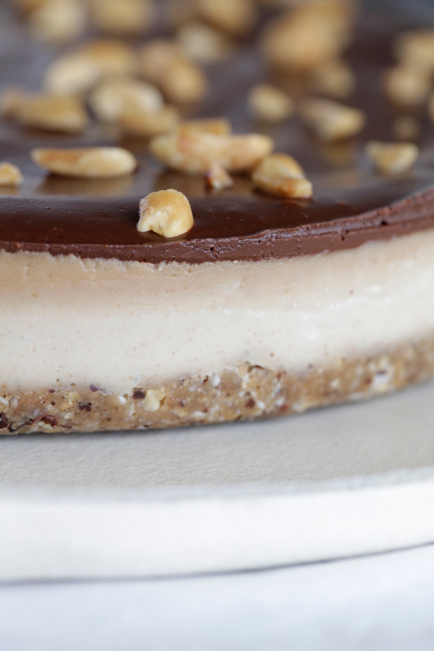 Raw Snickerskake - Coco Kanel