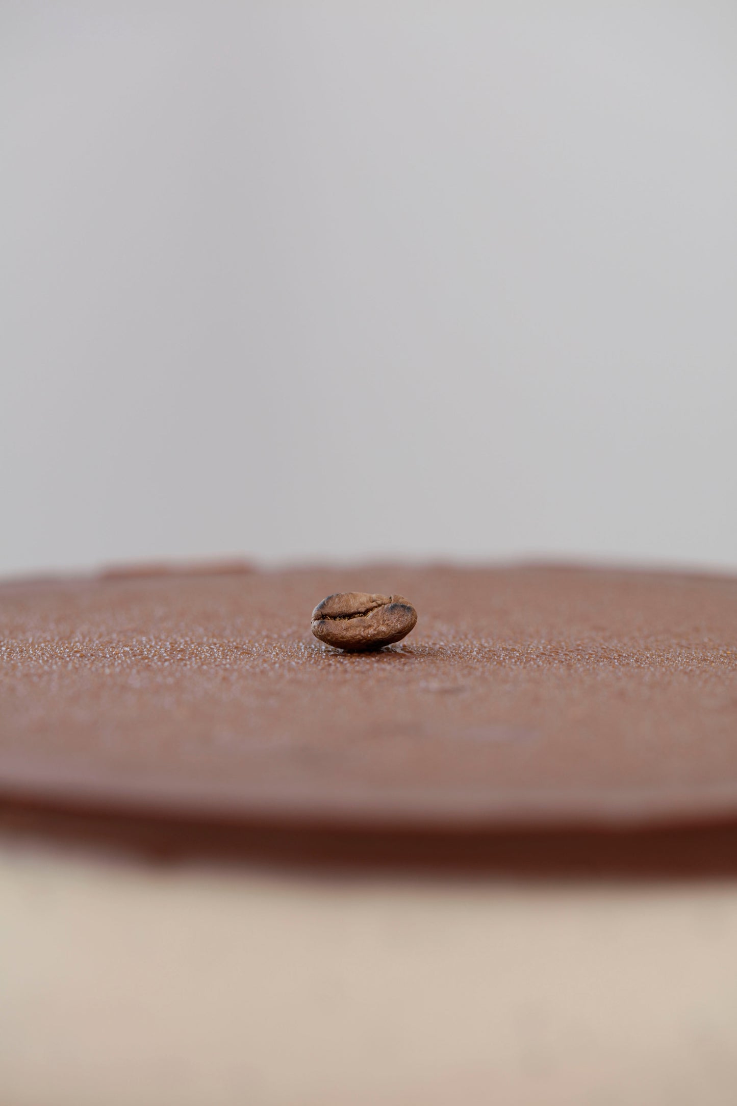 Raw Mokkakake - Coco Kanel